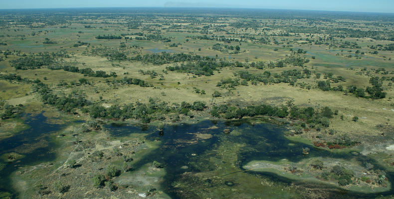 Okavango Delta